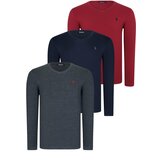 Dewberry TRIPLE SET T8587 V-NECK MEN'S SWEATSHIRT-NAVY-ANTHRACITE-BURGUNDY Cene