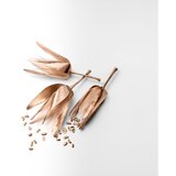 Tiffany & Co. Rose Gold parfumska voda za ženske 75 ml | Shoptok.si