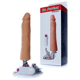  Mr. Perfect 67 00081 | Eponuda.com