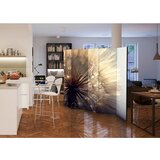 Artgeist Paravan Dandelion Kiss I, 5-Delni, Dvostranski | Shoptok.si