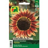 AUSTROSAAT Sončnica "Floristan" mešanica Cene