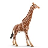  Zirafa muzijak | Eponuda.com