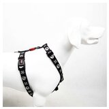 Paws & Whiskers Am za pse Boo S | Eponuda.com