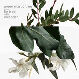 Hermes Un Jardin en Méditerranée toaletna voda 50 ml unisex | shoptok.hr