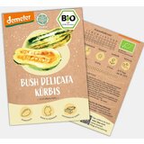 BIO buče “Bush Delicata” | Shoptok.si