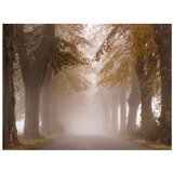  Tapeta - Dead-end 200x154 | shoptok.hr