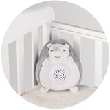 Chipolino igračka s projektorom i glazbom Little Hedgehog | shoptok.hr