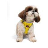 Paws & Whiskers Am za pse Air Mesh Yellow L | Eponuda.com