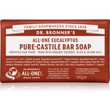 DR. BRONNER'S Eucalyptus sapun 140 g Cijene