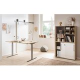 MID.YOU Regal Antero, Barva Hrasta | Shoptok.si