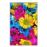 Conceptum Hypnose tepih HMNT505, 100x150cm, šareni | Eponuda.ba