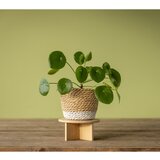 Esschert Design Bambusov stalak za tegle za cvijeće ø 18 cm – | shoptok.hr