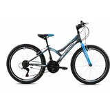 Capriolo mtb diavolo 400 24 18HT sivo-plava 13 (920301-13) muški bicikl Cene