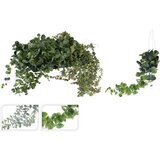  CVIJEĆE 56CM SORTO PVC Cijene