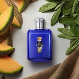 Polo Ralph Lauren Polo Blue Bear Edition parfemska voda za muškarce 125 ml | shoptok.hr