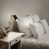  Brilagi - Zidni spot SELE 1xGU10/30W/230V crno/dekor hrasta | Eponuda.com