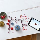 Lego igračka kockice Botanička kolekcija Cvijet šljive 18+ | Eponuda.ba
