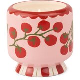 Paddywax A Dopo Tomato Vine dišeča sveča 226 g Cene
