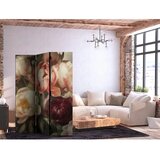  Paravan - Blooming Peonies - Charismatic Flowers Bathed in Sunlight 135x172 | shoptok.hr