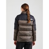 The North Face Zunanja jakna 'DIABLO' rjava / črna / bela | Shoptok.si