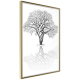  Poster - Roots or Treetop? 40x60 | shoptok.hr