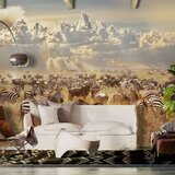  Tapeta - Zebra Land 250x175 Cijene