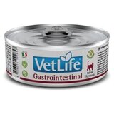 Vet Liife vet life medicinska hrana za mačke gastrointestinal, 85g Cene