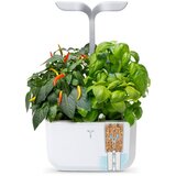 Exky® SMART Arctic White Domači Vrt | Shoptok.si