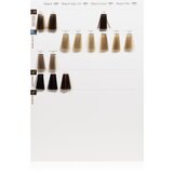 L´Oréal Paris majirel - 4.0 srednjerjava intenzivna | Shoptok.si