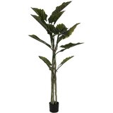  Umjetni taro 190 cm | shoptok.hr