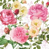 PPD Papperproducts Design Rosalie - Salvete - Rosalie, 33x33 cm Cene
