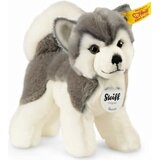 Steiff Husky Bernie, 17 cm Cene