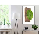  Poster - Forest Nature 30x45 | shoptok.hr
