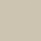 SWINGCOLOR Stenska barva SIMPLY (- Št. 06, Mat, 1 l) | Shoptok.si
