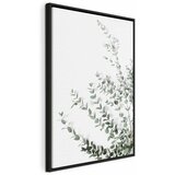  Slika - Eucalyptus Parvifolia (1 Part) Vertical 80x120 | shoptok.hr