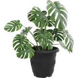  Okrogli cvetlični lonec 6 pcs Črna Ø 34 x 28 cm Plastika, (5000207302) | Shoptok.si