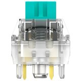  Tactile Switch cene