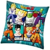Dragonball jastuk 40x40