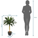 MID.YOU Umetna Rastlina Dracaena I | Shoptok.si