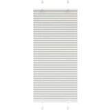 vidaXL Plisirana roleta svijetlosiva 60x100 cm širina tkanine 59,4 cm | shoptok.hr