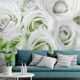  Samoljepljiva foto tapeta - Satin Rose (Green) 245x175 Cijene