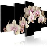  Slika - An orchid on a contrasting background 200x100 Cijene