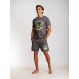 Sinsay Pamukna dvodijelna pidžama s printom Teenage Mutant Ninja Turtles | shoptok.hr