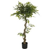 MID.YOU Umetna Rastlina Ficus I | Shoptok.si