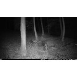 OXE Lovska kamera WiFi Hunter RD3019 in klasični daljnogled FOMEI 7-21x40 ZCF Zoom + 32GB SD kartica, 8 baterij in stojalo! | Shoptok.si