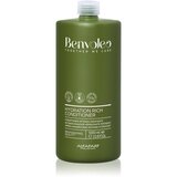 ALFAPARF MILANO Benvoleo Hydration regenerator za kosu s hidratantnim učinkom 1000 ml Cijene