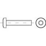 Toolcraft TO-5440695 vijci s lećastom glavom M2 12 mm unutarnji šesterostrani okrugli čelik galvansko pocinčani 2000 St. | shoptok.hr