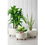 WALLXPERT TRPTSKS-4-3 white vase set Cene