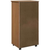  Gležnji kabinet s kolesom Medeno rjava 53 x 39 x 103 cm, (5000263237) | Shoptok.si