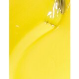 OPI Nail Lacquer lak za nohte Exotic Birds Do Not Tweet 15 ml | Shoptok.si